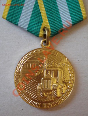 Помогите определить подлинность двух медалей СССР - DSC02296-1.JPG