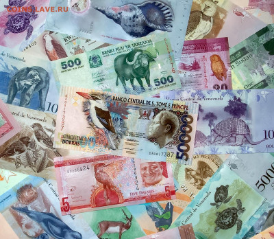 Коллекция банкнот ФАУНА-50 шт. до 02.01.22 г. в 22:00 мск. - 1_50 фауна_Самара