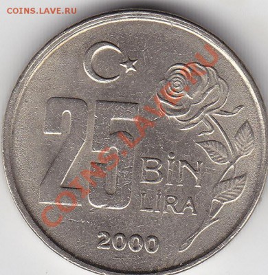 ТУРЦИЯ 25000 лир 2000 до 9.11 22:00 мск - IMG_0048