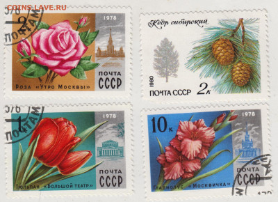Флора 4 шт. до 05.01.22 г. в 23.00 - 019