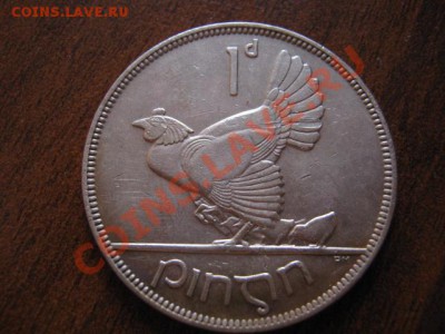 =Ирландия 1 пенни 1928  до 09.11 в 21.00 М - IMG_1315