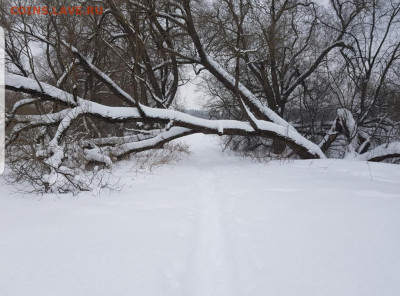 делает - прямо сейчас !!! - Screenshot_20220102-140445_Gallery