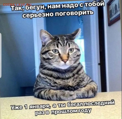 юмор - Screenshot_20220102-140910_Instagram