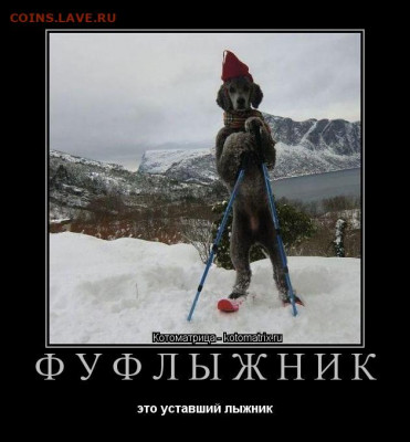 юмор - 217775649_0564f65d0f8651a19dcfd27a57173995_800