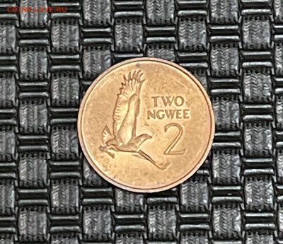 Замбия 2 нгве 1983 птица - 6128C911-C966-4E69-9383-29ACFF2D4F4D