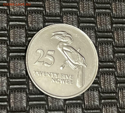 Замбия 25 нгве 1992 птица - 663DAE40-CD71-4997-8E9A-18ED0A91207E