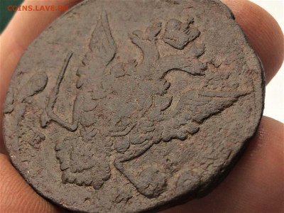 5 копеек Екатерины II 1763, 1772г (к3,к40) 6.01 - 7e08Y7f4KCM