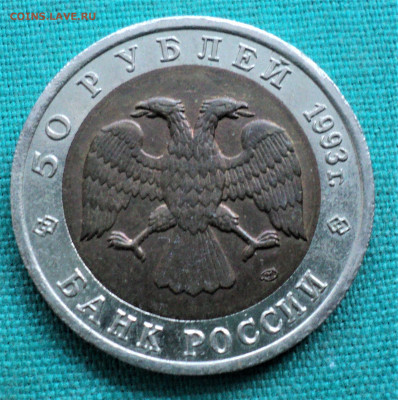 50 рублей 1993г. Туркменский эублефар. до 10.01.22 - DSC04606.JPG