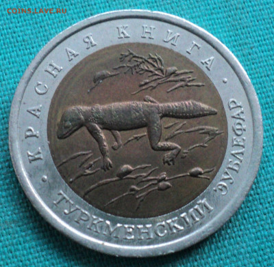 50 рублей 1993г. Туркменский эублефар. до 10.01.22 - DSC04603.JPG