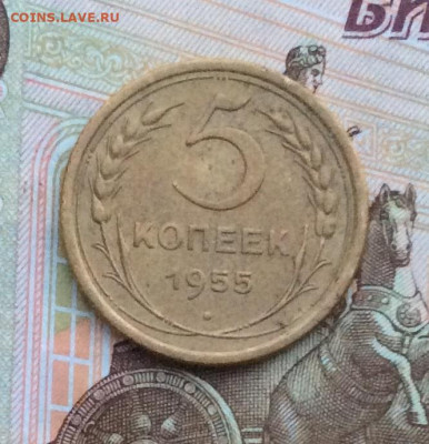 5 копеек 1955г   до 09.01.22г. - IMG_0468.JPG