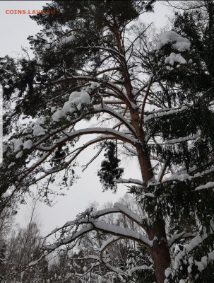 делает - прямо сейчас !!! - Screenshot_20220108-224310_Gallery
