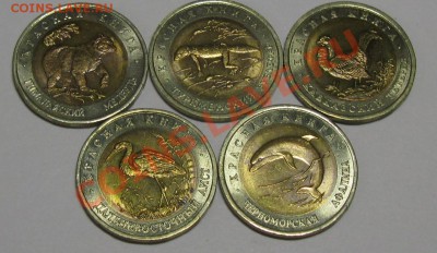 Комплект КРАСНАЯ КНИГА 1993 ГОД 12 ноября 22-00 - IMG_1050