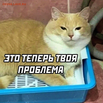 юмор - ITReEPGpol4