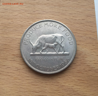 Крона Шайба Уганда 5 шиллингов 1968 ФАО Корова - IMG_3938.JPG