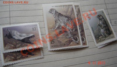 Чистые марки СССР после 61г. - DSC00737.JPG
