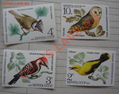 Чистые марки СССР после 61г. - DSC00743.JPG