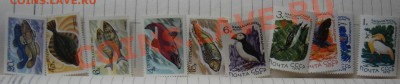 Чистые марки СССР после 61г. - DSC00747.JPG