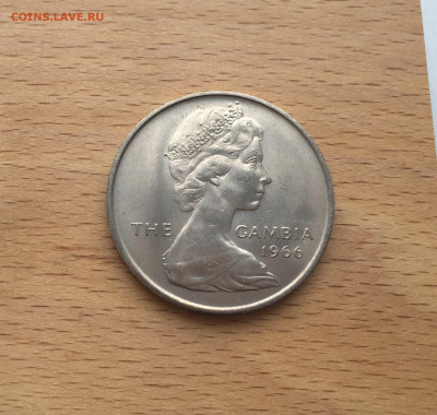 Гамбия 4 шиллинга 1966 Крокодил фауна животные - IMG_4006.JPG