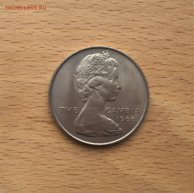 Гамбия 4 шиллинга 1966 Крокодил фауна животные - IMG_4004.JPG