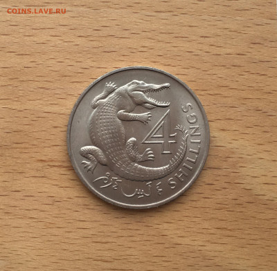 Гамбия 4 шиллинга 1966 Крокодил фауна животные - IMG_3997.JPG