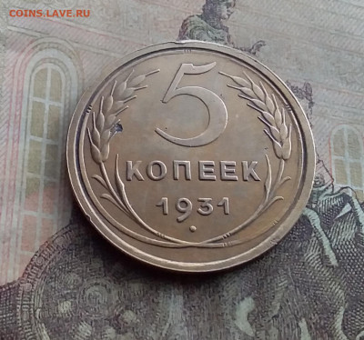 5 копеек 1931. До 17.1.22 в 22.00 - 20220112_120426
