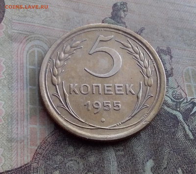 5 копеек 1955. До 17.1.22 в 22.00 - 20220112_122736