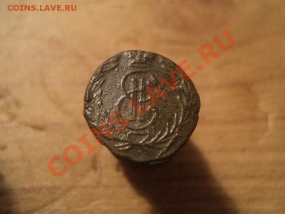 сибирская полушка 1768 окончание 10.11.11 в 22 00 по мск. - DSC01186.JPG