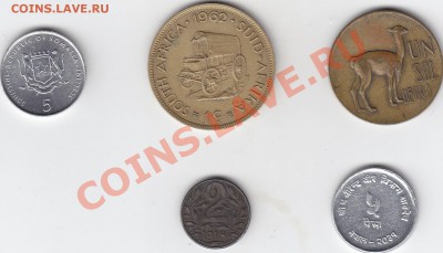 ИНОСТРАННЫЕ МОНЕТЫ по 40 руб. пополняемая тема - IMG_0037