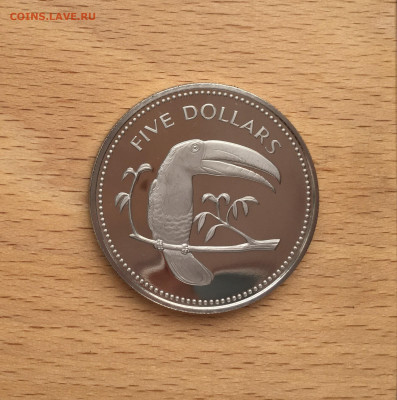Крона Шайба Белиз 5 долларов 1974 Радужный Тукан Фауна Пруф - IMG_3673.JPG