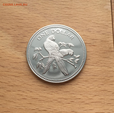 Шайба Белиз 1 доллар 1979 Красный попугай ара тираж 1287 шт - IMG_3698.JPG