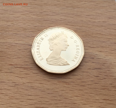 Канада 1 доллар 1987 Гагра птица фауна Пруф Proof капсула - IMG_4166.JPG