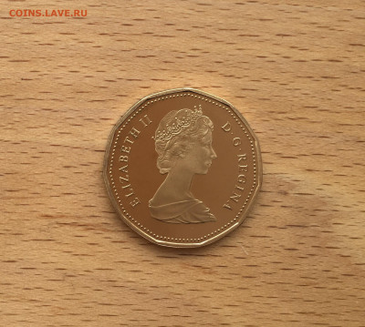Канада 1 доллар 1987 Гагра птица фауна Пруф Proof капсула - IMG_4160.JPG