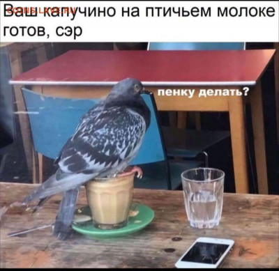 юмор - IMG-20220114-WA0010