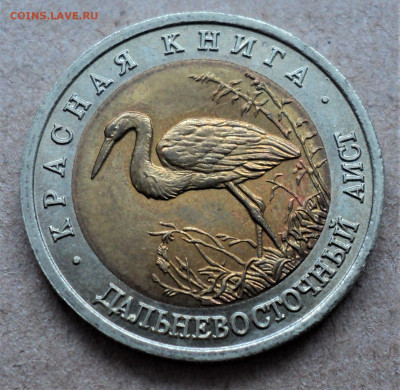 50 руб.1993г. Дальневосточный аист. до 19.01.22. - DSC04614.JPG
