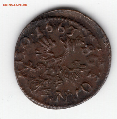 Польша, солид 1663, перечеканка на опознание - img083