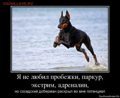 юмор - 1371133783_27399364_ya-ne-lyubil-probezhki-parkur-ekstrim-adrenalin