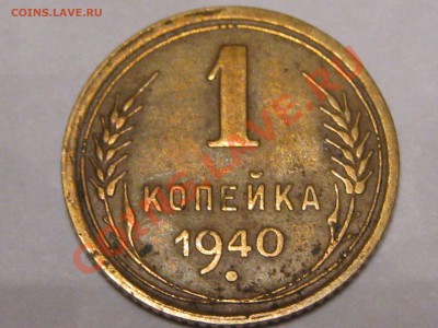 1967 без остей? 1988 Носик у еденицы - IMG_5845.JPG