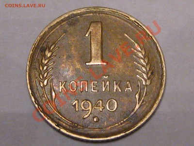 1967 без остей? 1988 Носик у еденицы - IMG_5844.JPG
