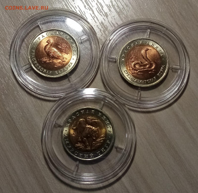 К.К. 3 монеты.комплект 1992 года до 21.01 - IMG_20220117_094731