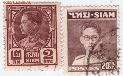 СИАМ (ТАЙЛАНД) 2 шт. до 24.01.22 г. в 23.00 - 035