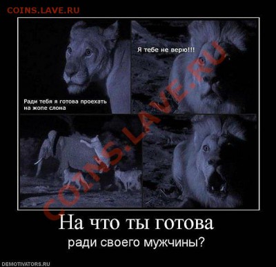 юмор - РАДИ ТЕБЯ