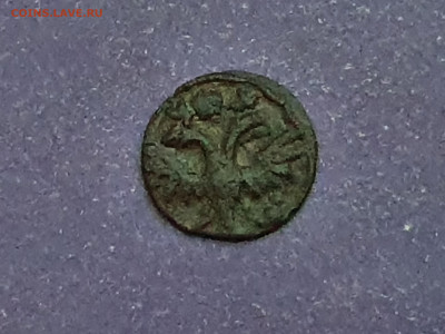 Полушка 1719 года до 26.01.2022 22.00 МСК - 20211218_152953