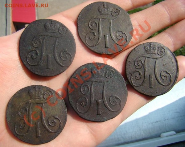 Погодовка 2 коп. Павла 1 КМ до 09.06.2009 г. - DSC04337.JPG