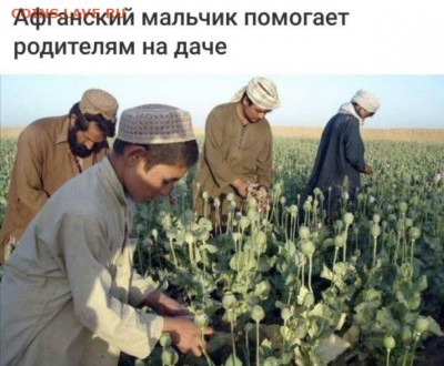 юмор - i