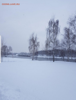 Угадай результат на PARKRUN Коломенское (22.01.2022) - Screenshot_20220122-120708_Gallery
