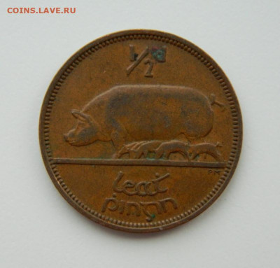 2 пенни 1964 г. (Фауна) до 27.01.22 - DSCN2449.JPG