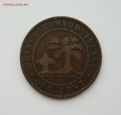 Остров принца Эдуарда 1 цент 1871 г. до 27.01.22 - DSCN2436.JPG