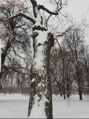 ФОТО - просто фото. Те что получились удачными. - Screenshot_20220123-073444_Gallery