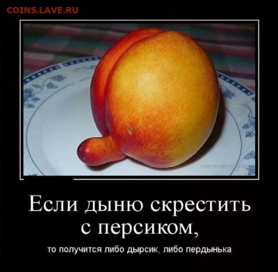 юмор - original