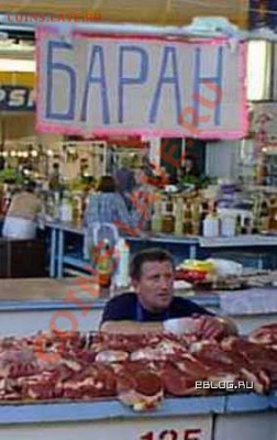 Подарок для смекалистого форумчанина ! - lol-labels_11